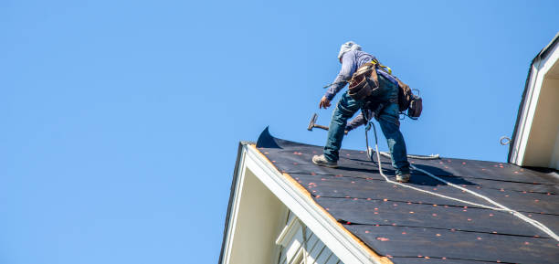 Best Roof Gutter Cleaning  in Williston, FL